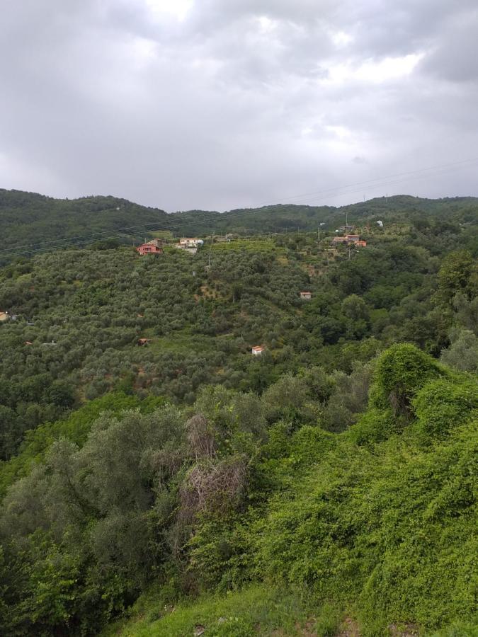 Casa Di Vecchio Borgo Villa Sarzana Ngoại thất bức ảnh